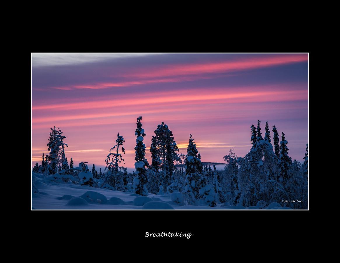 Lannavaara Lodge Eksteriør bilde